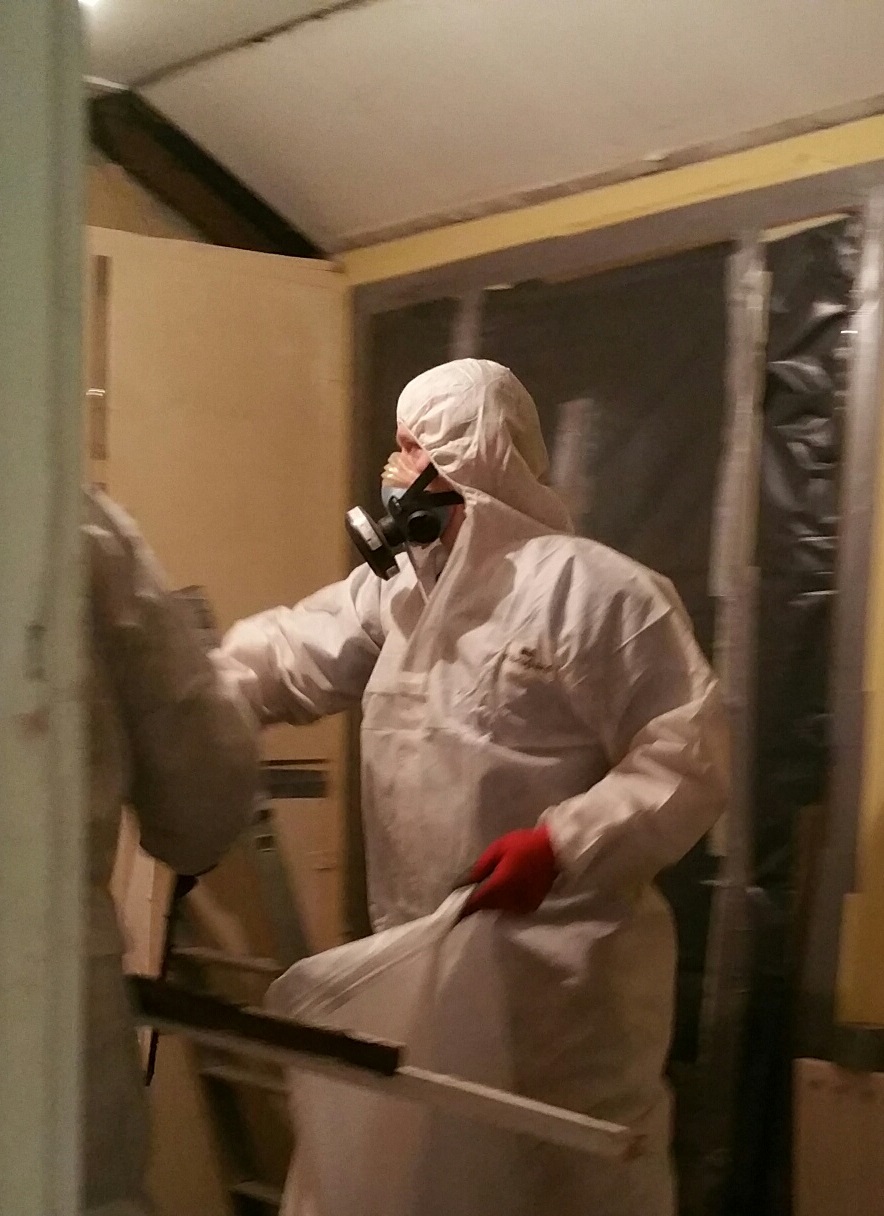 Safeway Environmental